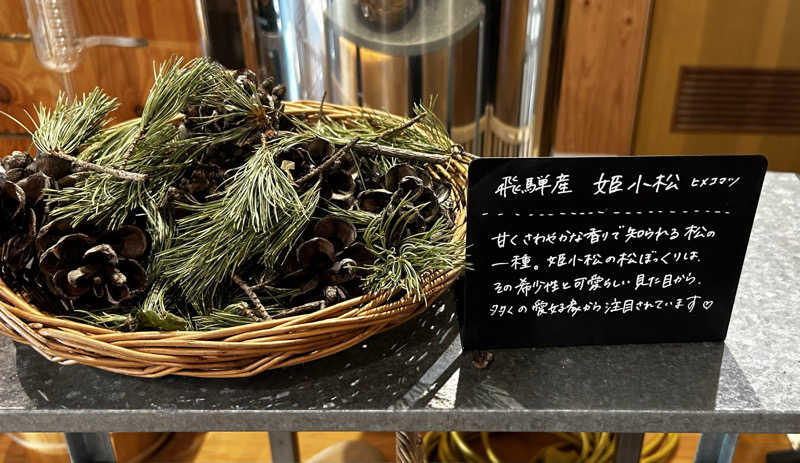 サぶさんの岐阜各務原 恵みの湯のサ活写真