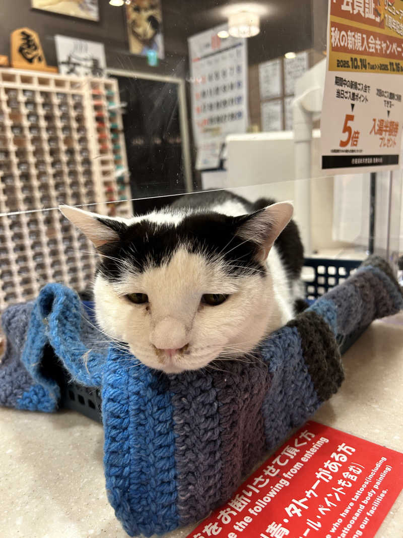 🍙さんの行田・湯本天然温泉 茂美の湯のサ活写真