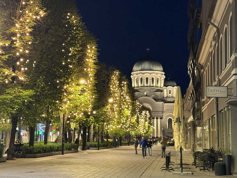 黒猫のうるるさんのBest Baltic Hotel Kaunasのサ活写真