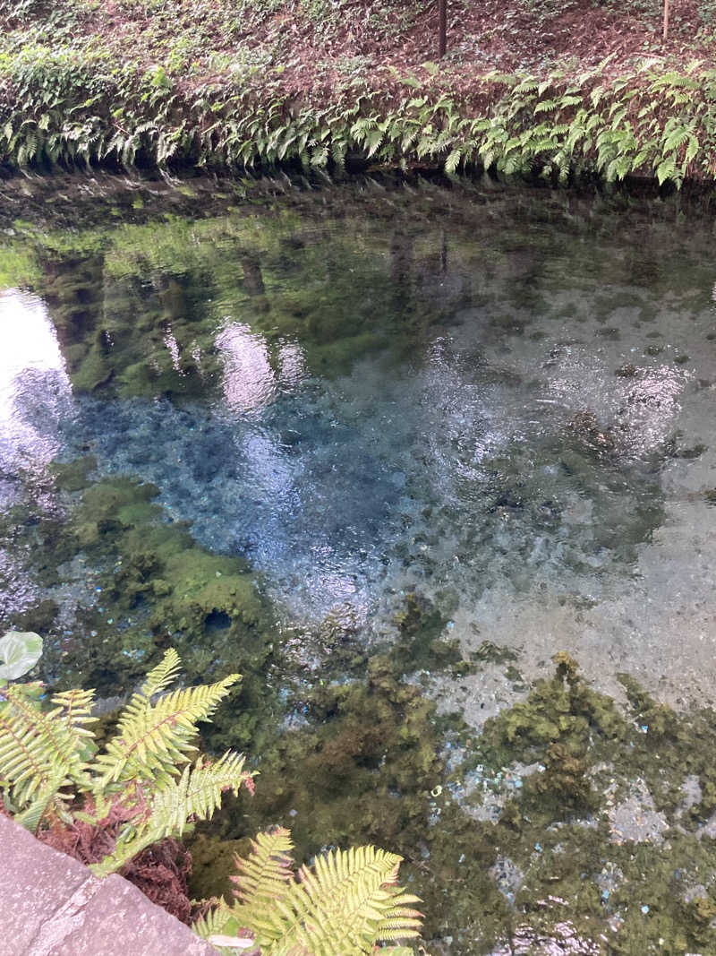 みっこさんの南阿蘇 久木野温泉 四季の森のサ活写真