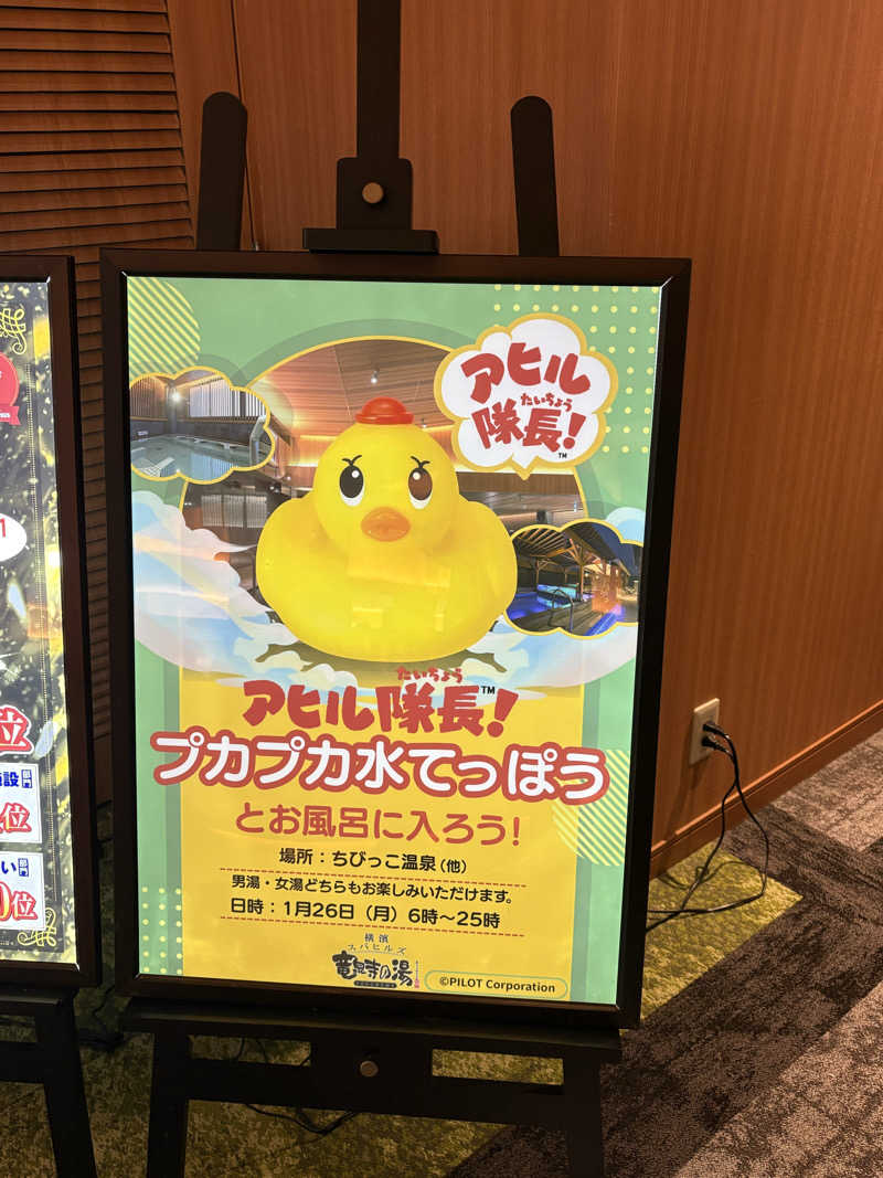 kanetama('ω')さんの横濱スパヒルズ 竜泉寺の湯のサ活写真