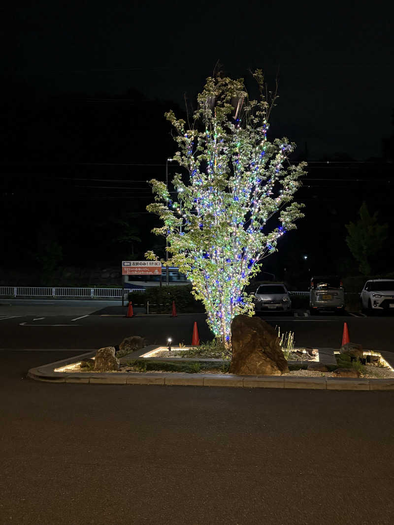 kanetama('ω')さんの天空SPA HILLS 竜泉寺の湯 名古屋守山本店のサ活写真
