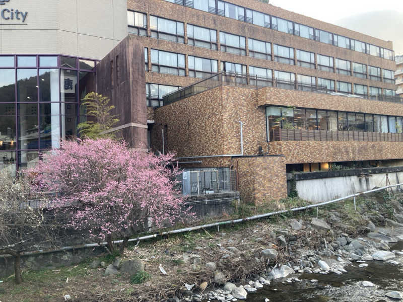 satoshiさんのいずみの湯 (ニューウェルシティ湯河原)のサ活写真