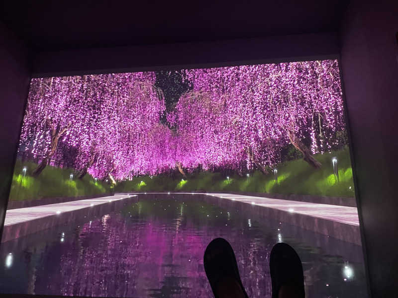 たっくんさんのほんものさうなのサ活写真