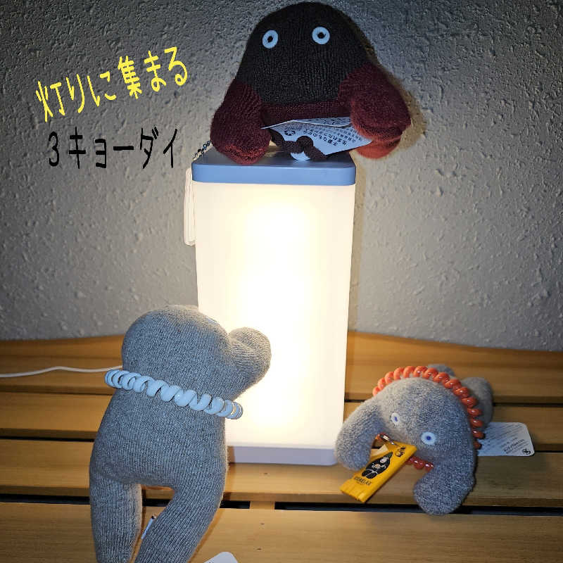 まるまるっち。さんのサウナ アッセ・デ〜ルのサ活写真