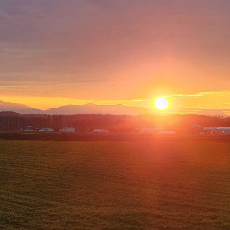 まるまるっち。さんのしほろ温泉プラザ緑風のサ活写真