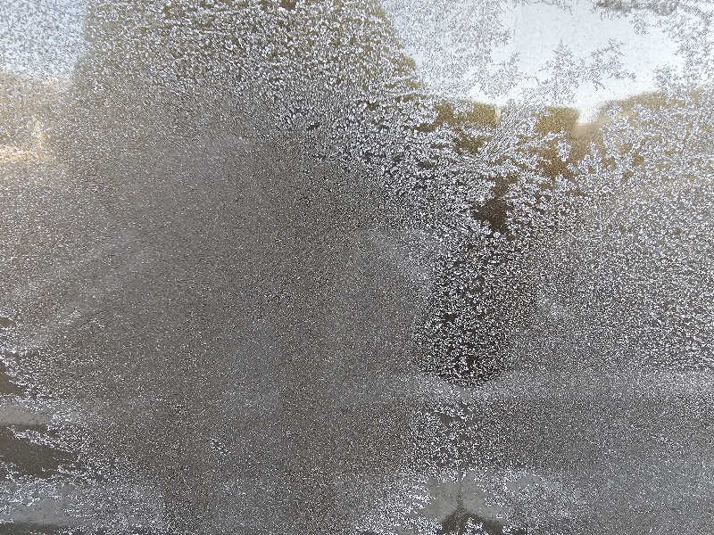 まるまるっち。さんの5737コンナサウナのサ活写真