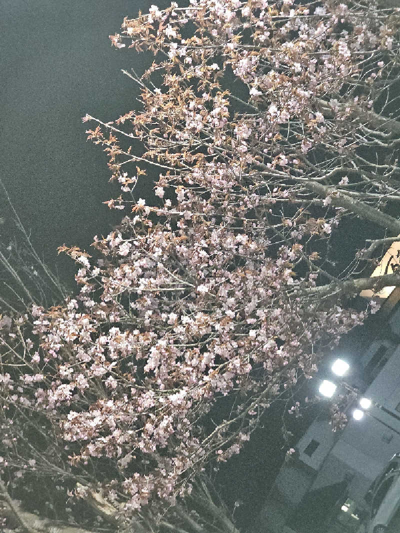 まるまるっち。さんの旭川高砂台 万葉の湯のサ活写真