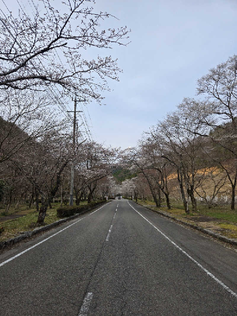 ましゃ。さんの関観光ホテル 西の屋別館 武芸川温泉のサ活写真