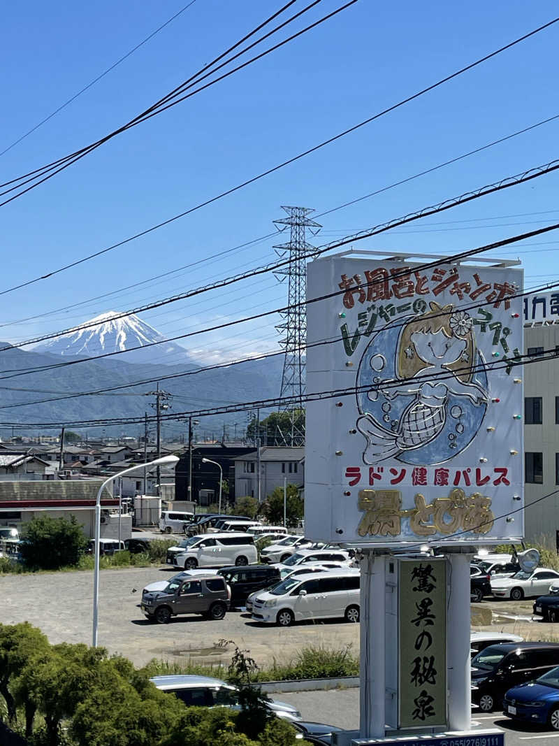 ぷにきさんの竜王ラドン温泉のサ活写真