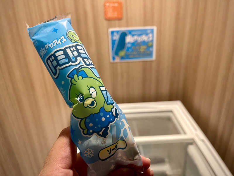 なむさんの南部の湯 ドーミーイン本八戸のサ活写真