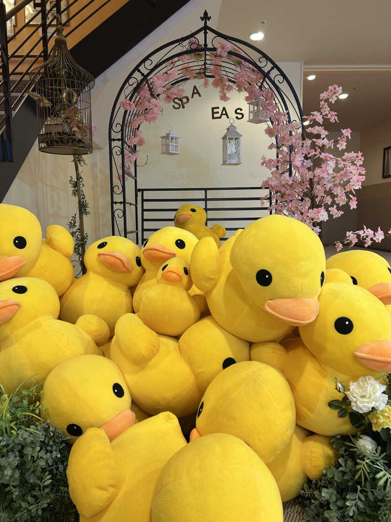 Tamaさんの横浜天然温泉 SPA EASのサ活写真