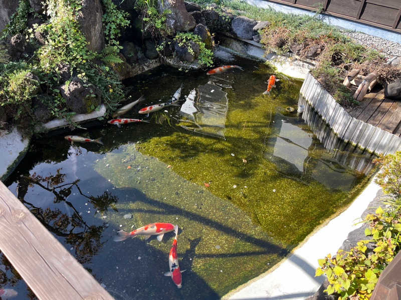 フェニックス・サ活さんの天然自家源泉 星音の湯のサ活写真