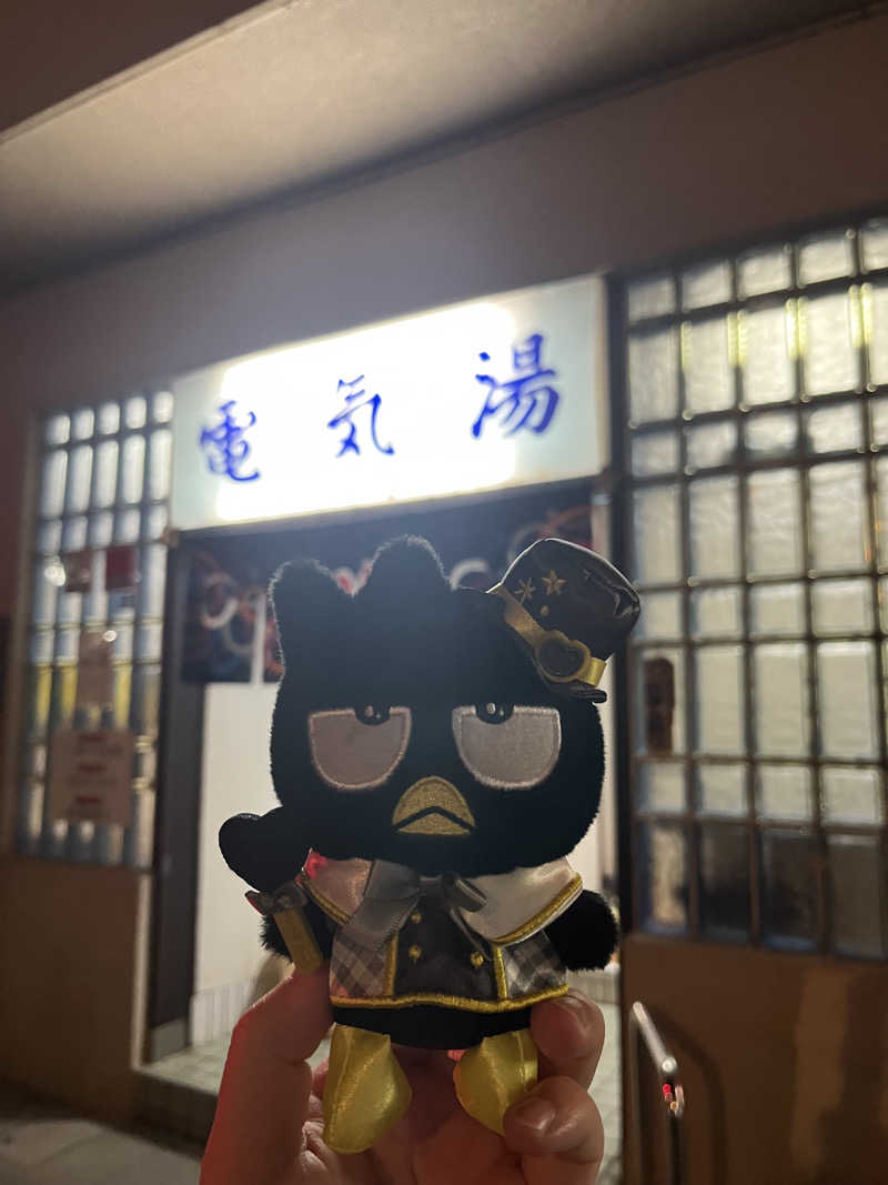 ボイルさーもんさんの電気湯のサ活写真