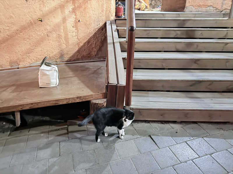 ねんころりさんのスプソク漢方ランド(森の中の漢方ランド)のサ活写真