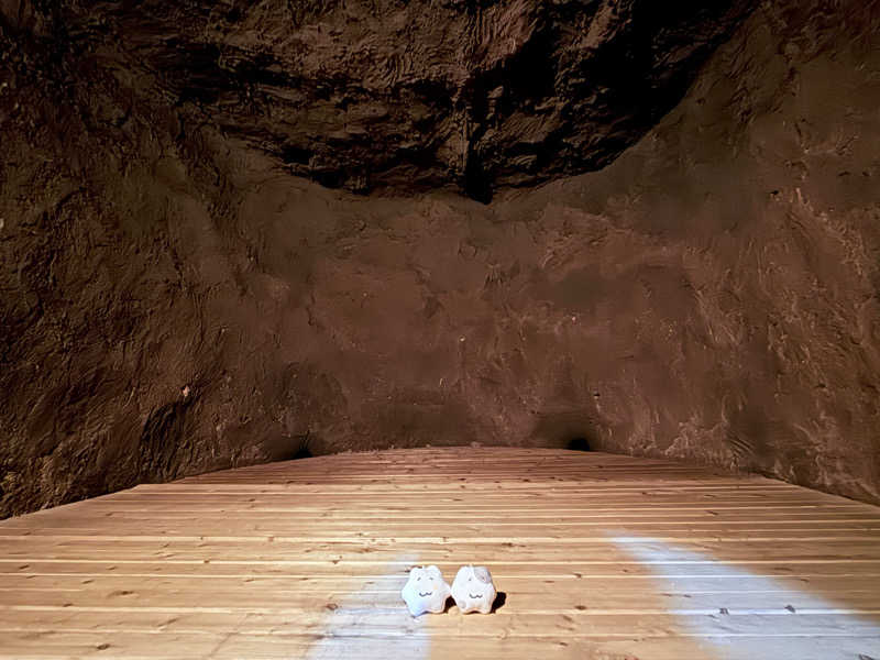 ねんころりさんのスプソク漢方ランド(森の中の漢方ランド)のサ活写真