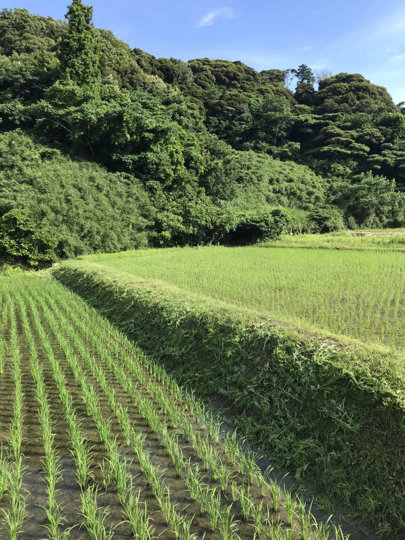 ♨️taぁくん♨️さんの御前崎市民プール すいすいパーク ぷるるのサ活写真