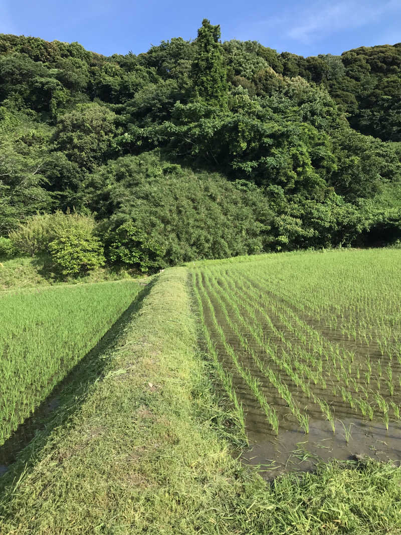 ♨️taぁくん♨️さんの御前崎市民プール すいすいパーク ぷるるのサ活写真