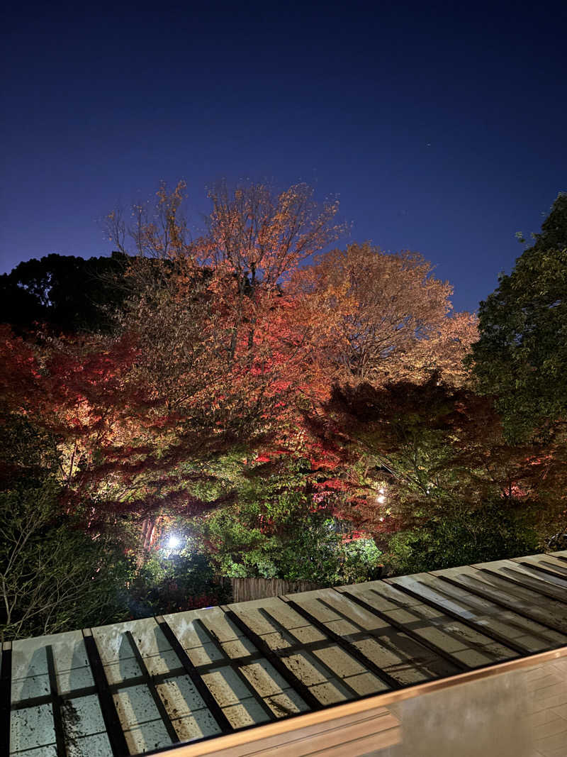 miさんの豊島園 庭の湯のサ活写真
