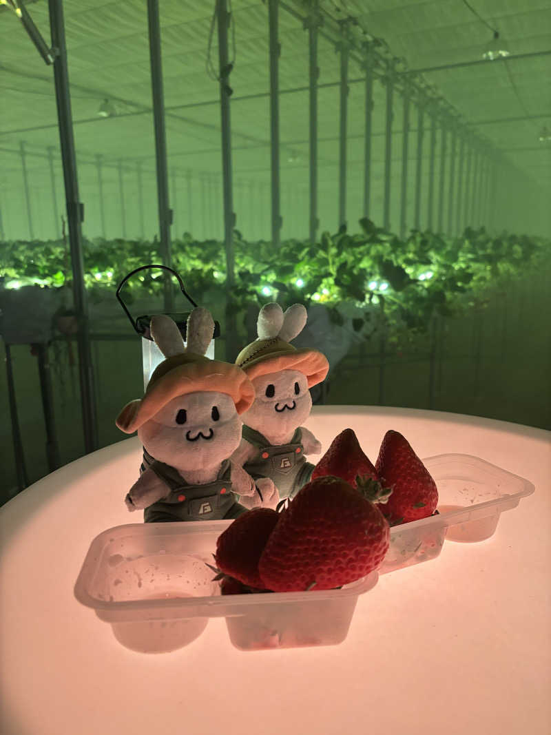 miさんのおふろcafé かりんの湯のサ活写真