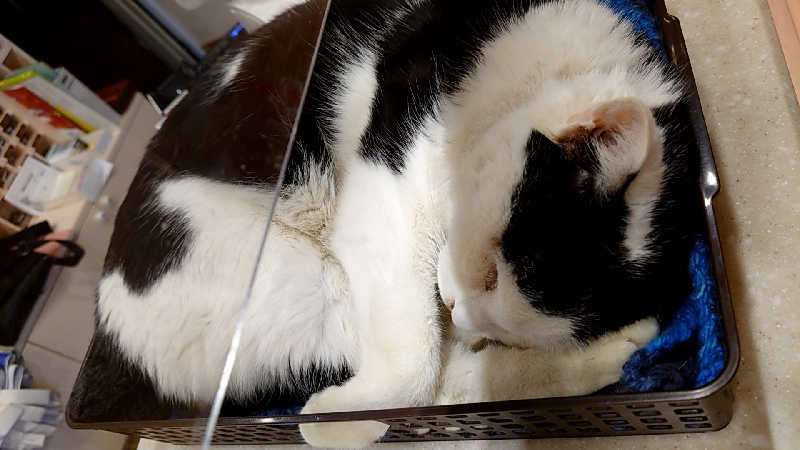 田舎のジャイアンさんの行田・湯本天然温泉 茂美の湯のサ活写真