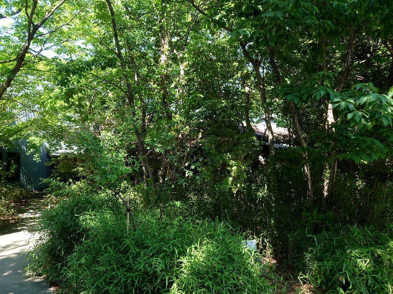 田舎のジャイアンさんの縄文天然温泉 志楽の湯のサ活写真