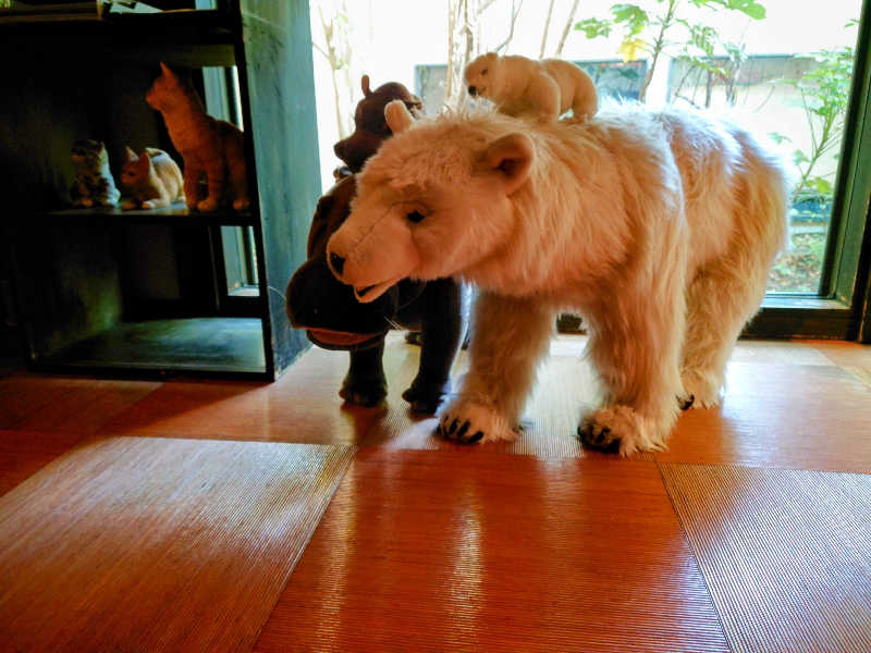 田舎のジャイアンさんの縄文天然温泉 志楽の湯のサ活写真