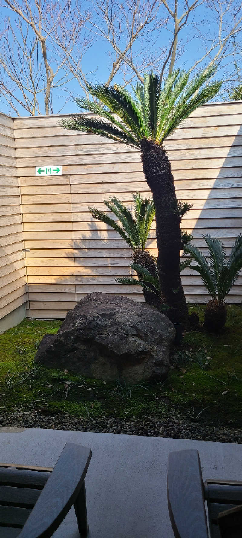 NOBUさんのタノサウナのサ活写真