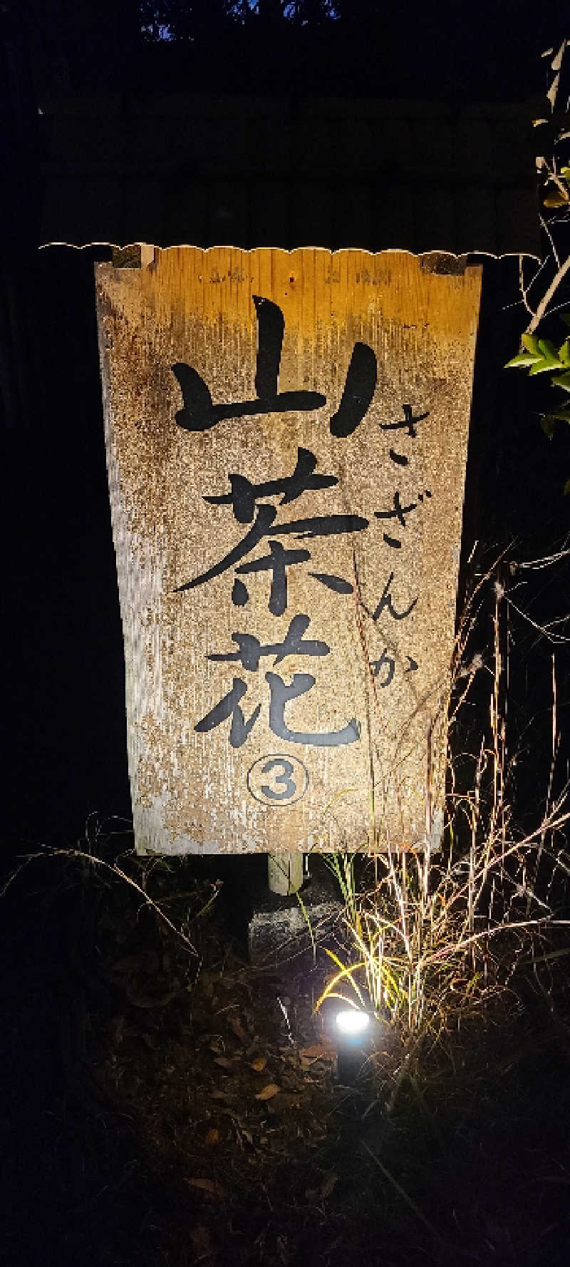 NOBUさんの家族温泉 山翠のサ活写真