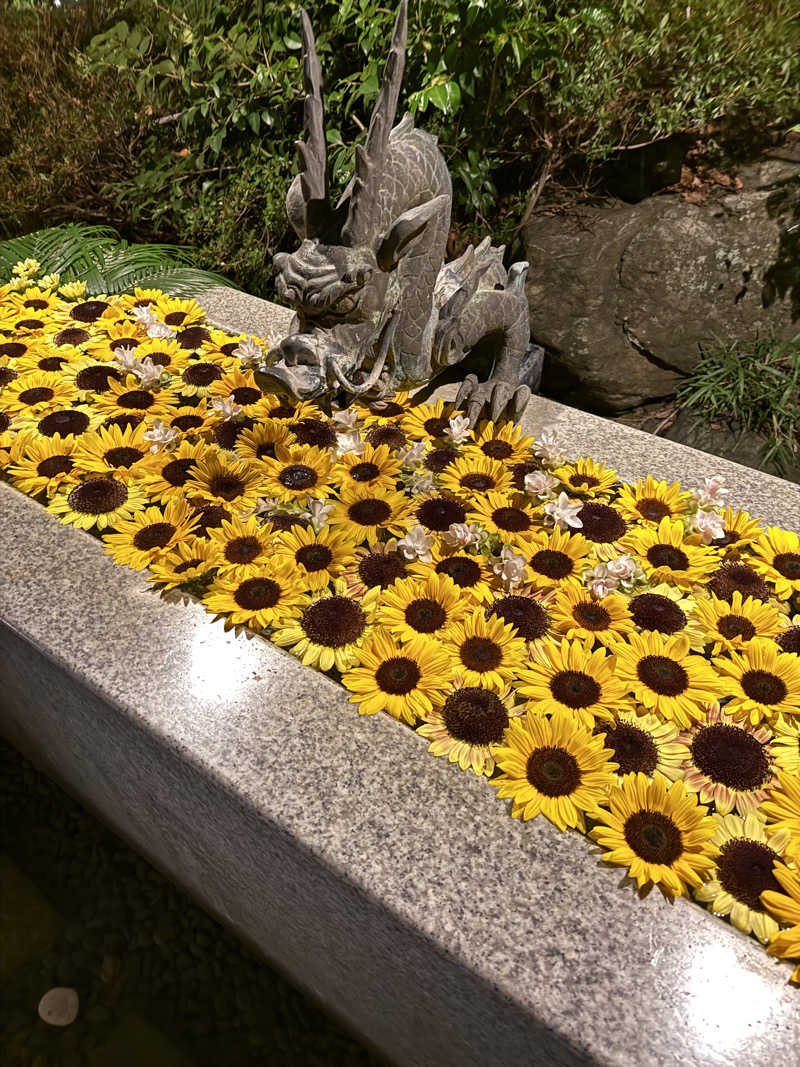 なつのさんのよみうりランド眺望温泉 花景の湯のサ活写真