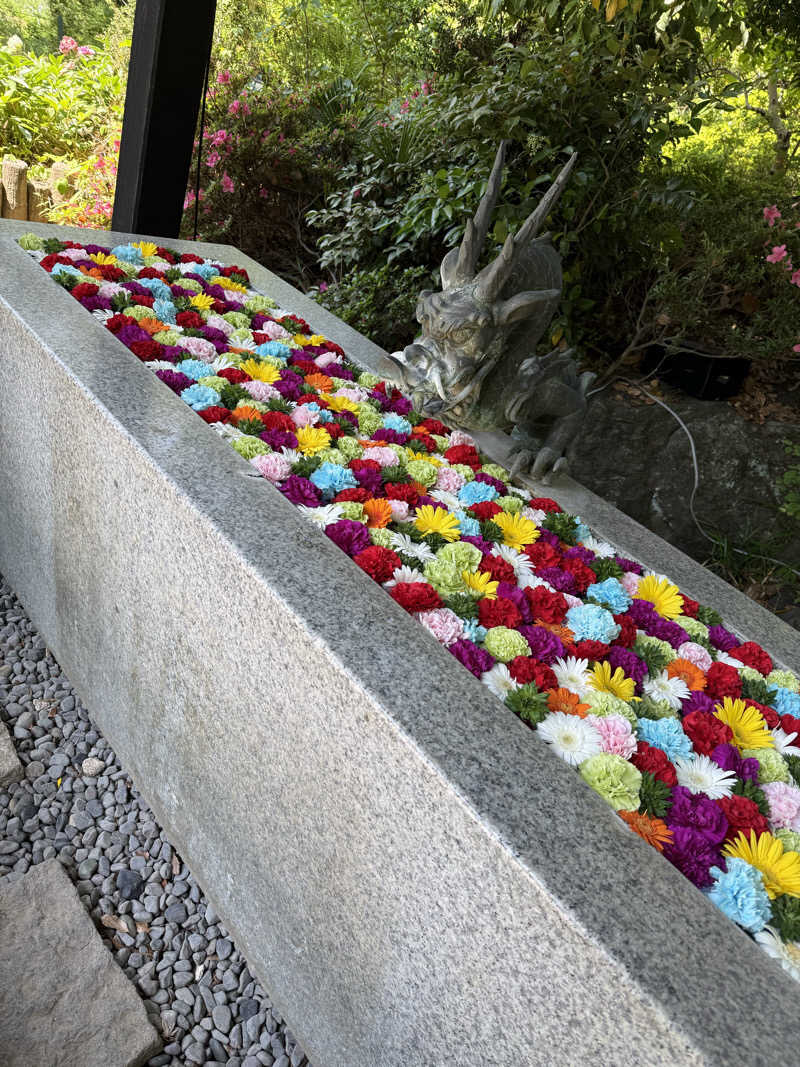 なつのさんのよみうりランド眺望温泉 花景の湯のサ活写真