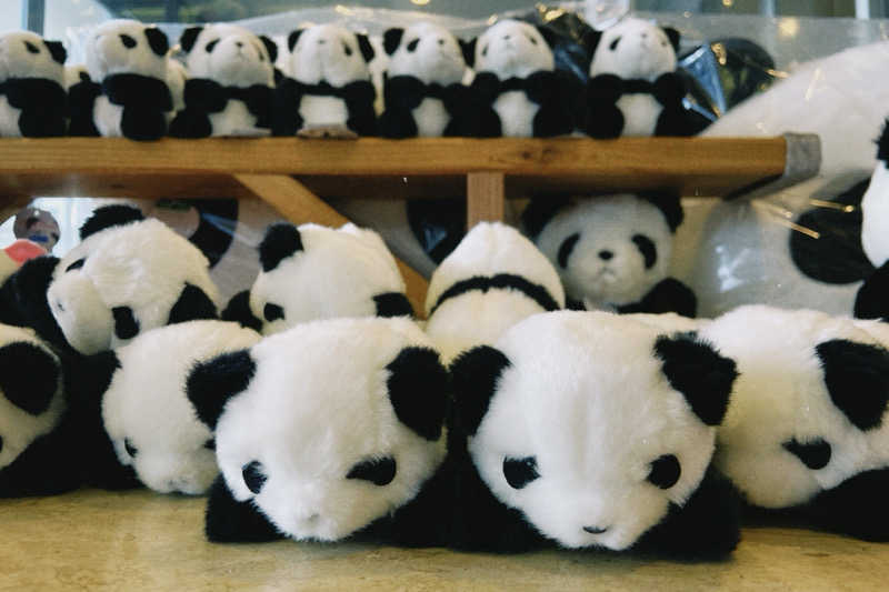 みさとさんの白浜 古賀の井リゾート&スパのサ活写真