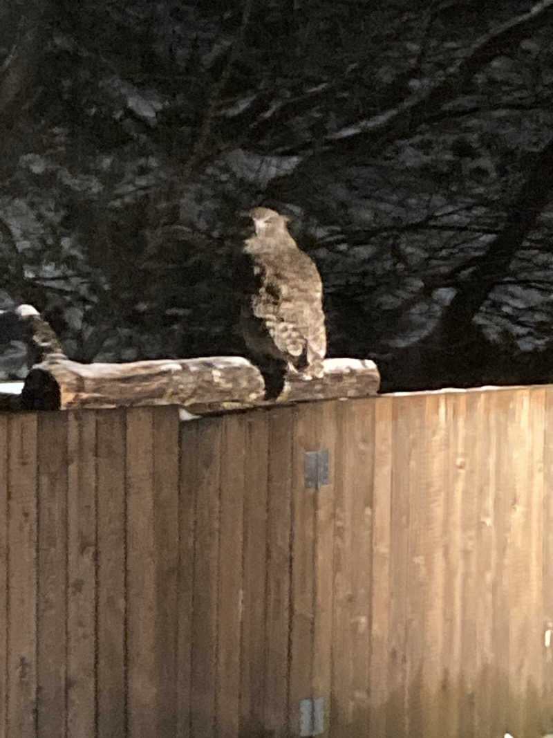 サウナー20240211さんの湯宿だいいちのサ活写真