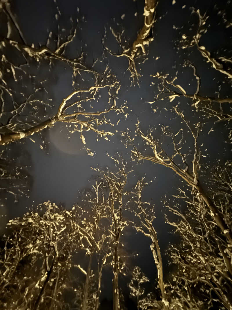 おもりぃさんのThe Saunaのサ活写真