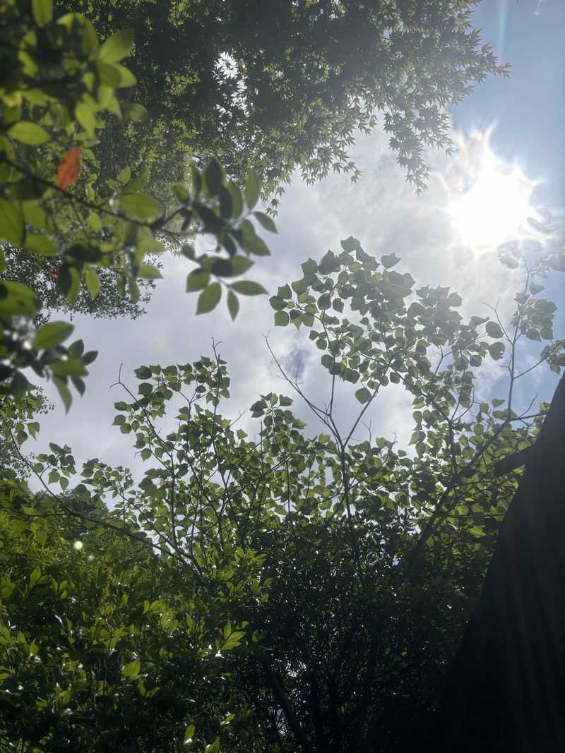 リーさんの霧島温泉 旅の湯(旧 野々湯温泉)のサ活写真