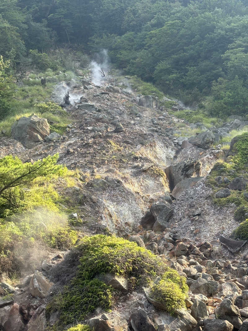 リーさんの白鳥温泉上湯のサ活写真