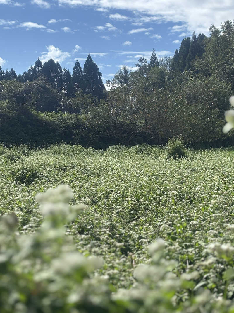 リーさんのみどり温泉のサ活写真