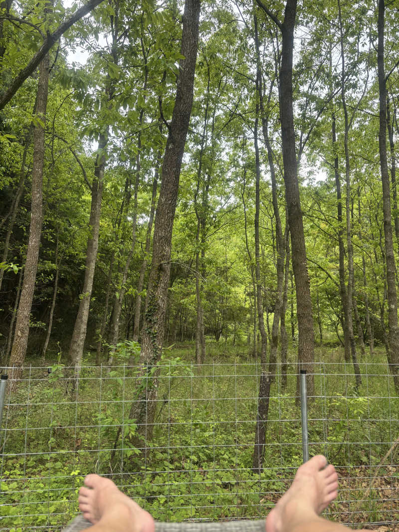 リーさんのOND SAUNAのサ活写真