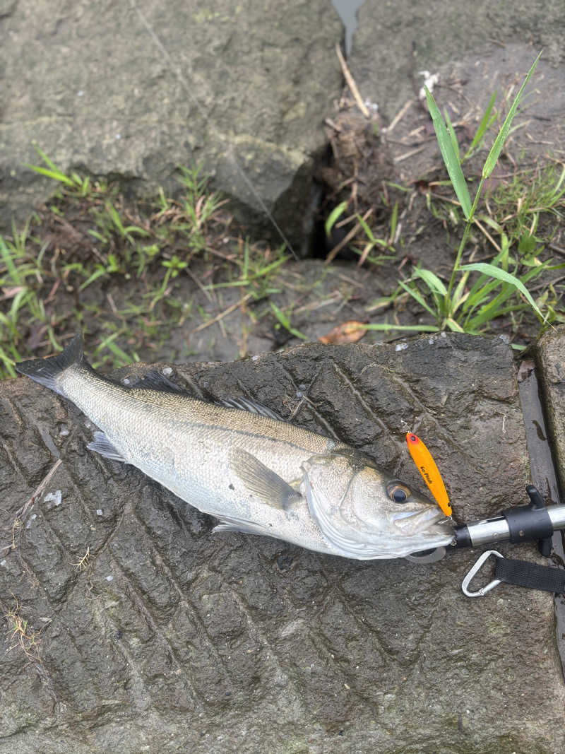 リーさんのニューニシノサウナ&天然温泉のサ活写真