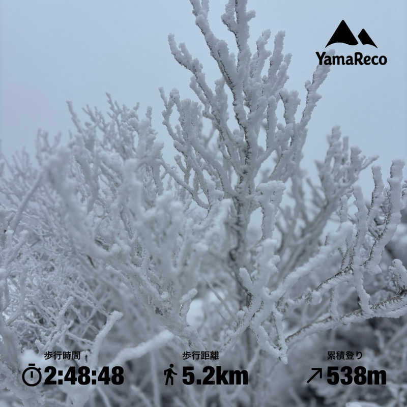 リーさんの霧島温泉 旅の湯(旧 野々湯温泉)のサ活写真