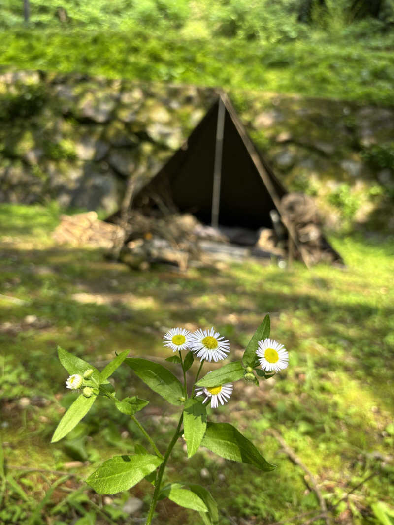 リーさんのホテル延岡ヒルズのサ活写真