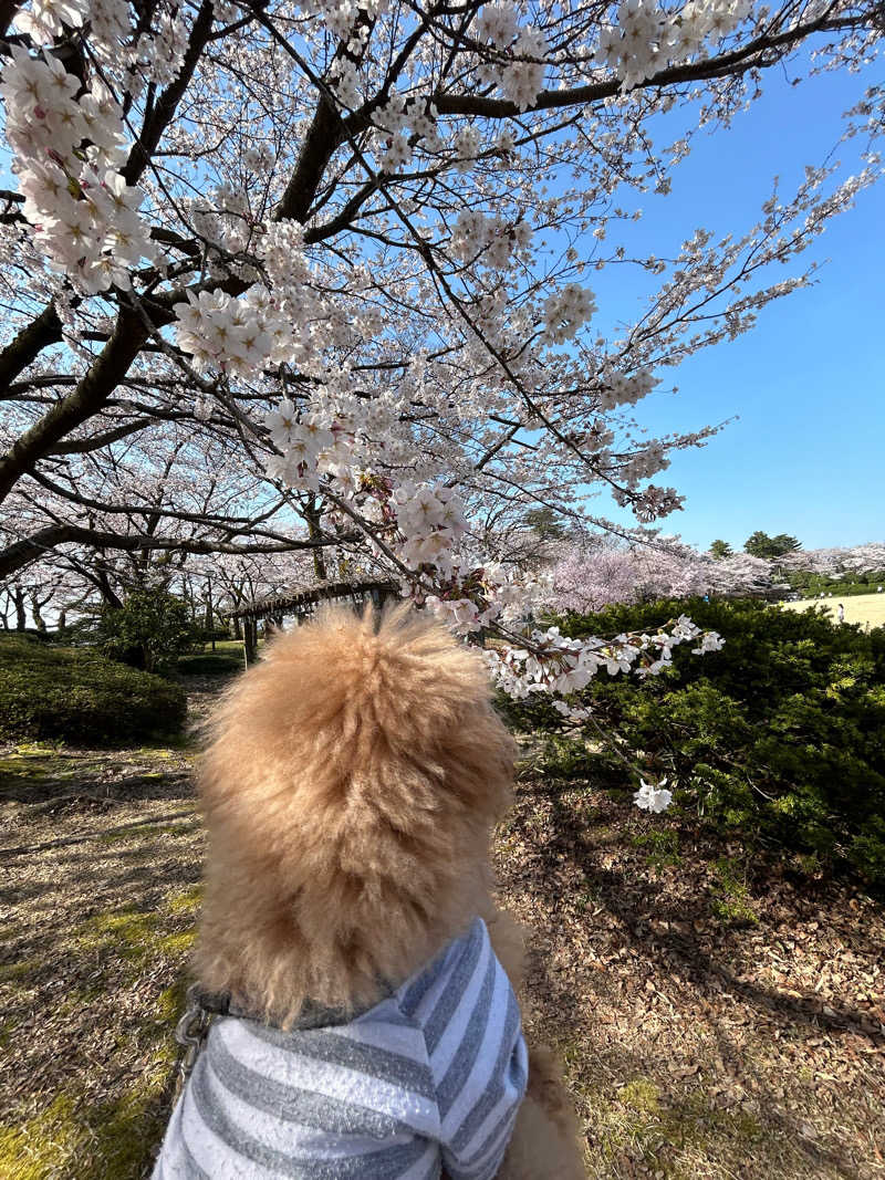 あまみ太郎さんの太閤の湯のサ活写真