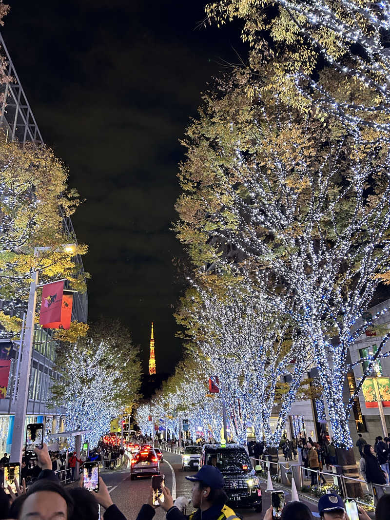 自由に生き隊さんの辰巳湯のサ活写真