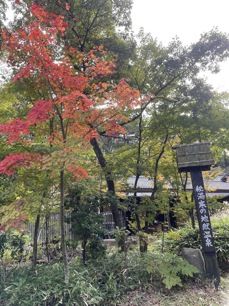 una ウナさんの寒の地獄旅館のサ活写真