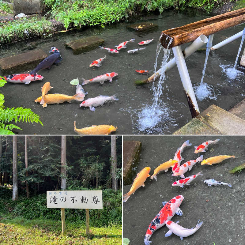 Mr.さんのSATOYAMA TERRACEのサ活写真