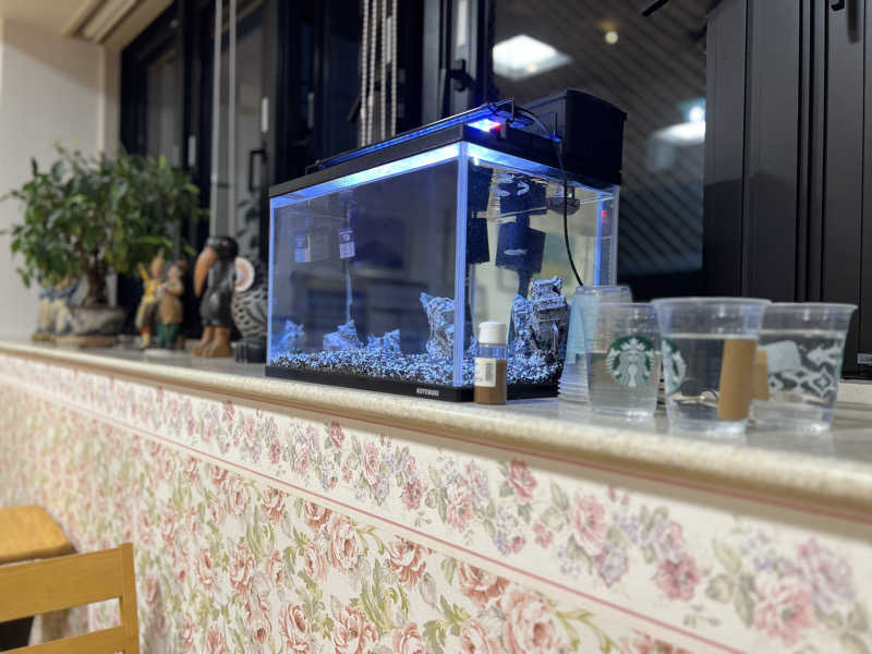 Mr.さんのゆパウザひばりのサ活写真
