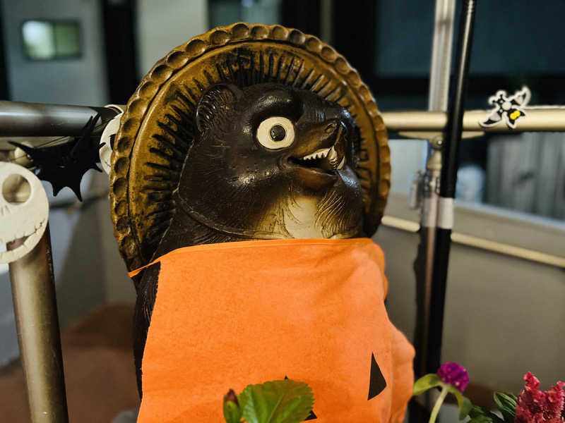 Mr.さんの西品川温泉 宮城湯のサ活写真