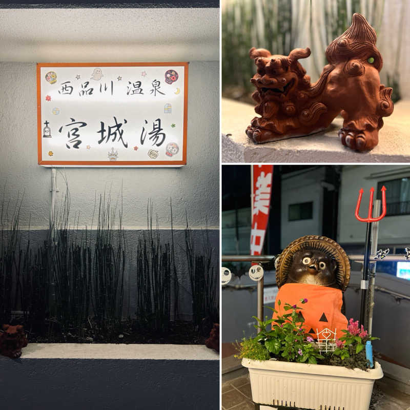 Mr.さんの西品川温泉 宮城湯のサ活写真