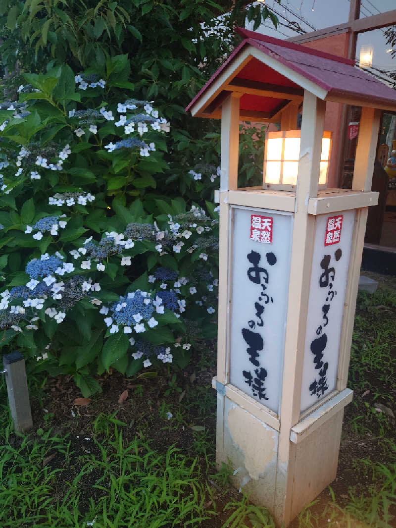 わるくないみやさんのおふろの王様 花小金井店のサ活写真