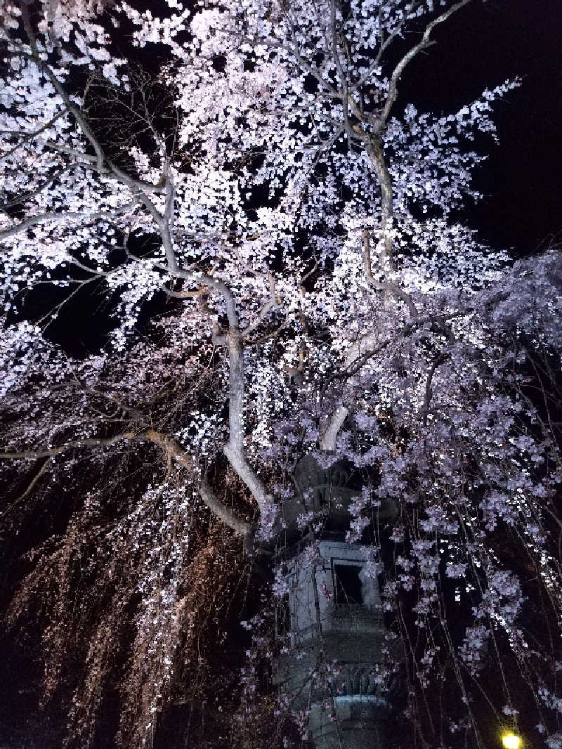 ねむさんの釜ぶたの湯のサ活写真